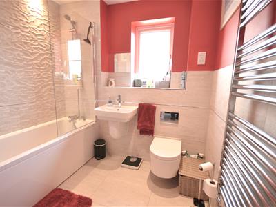 Picture 21